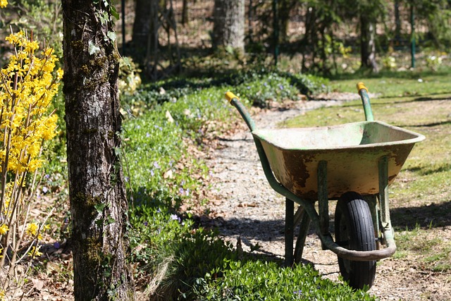 Roue de brouette : comment trouver le meilleur produit ?